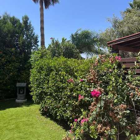 Serene Garden Near Sea
