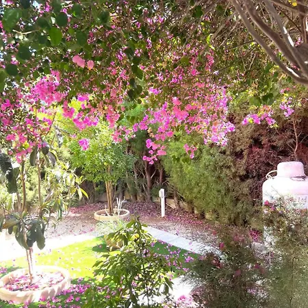 Apartamento Serene Garden Near Sea